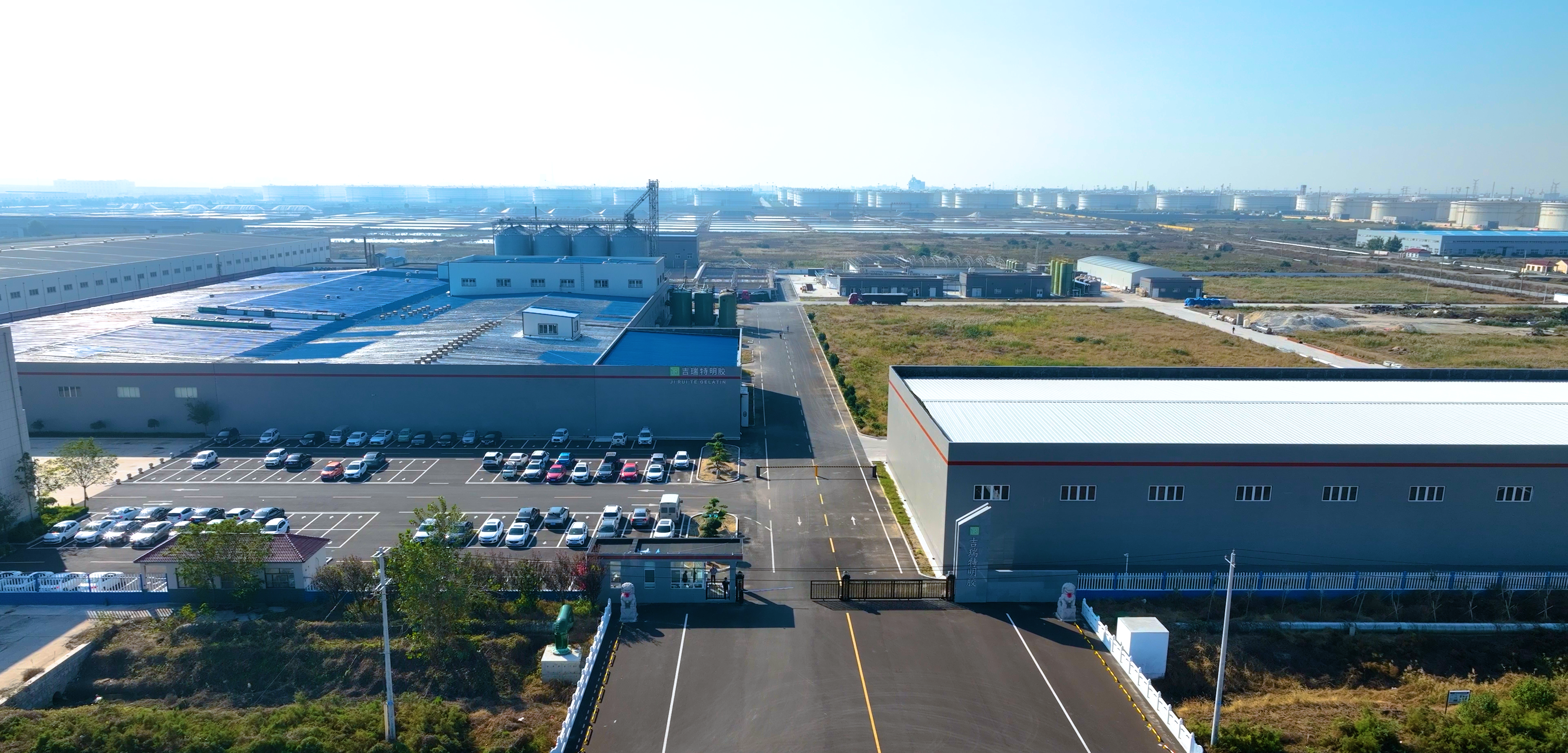 山东吉瑞特明胶鸟瞰图
