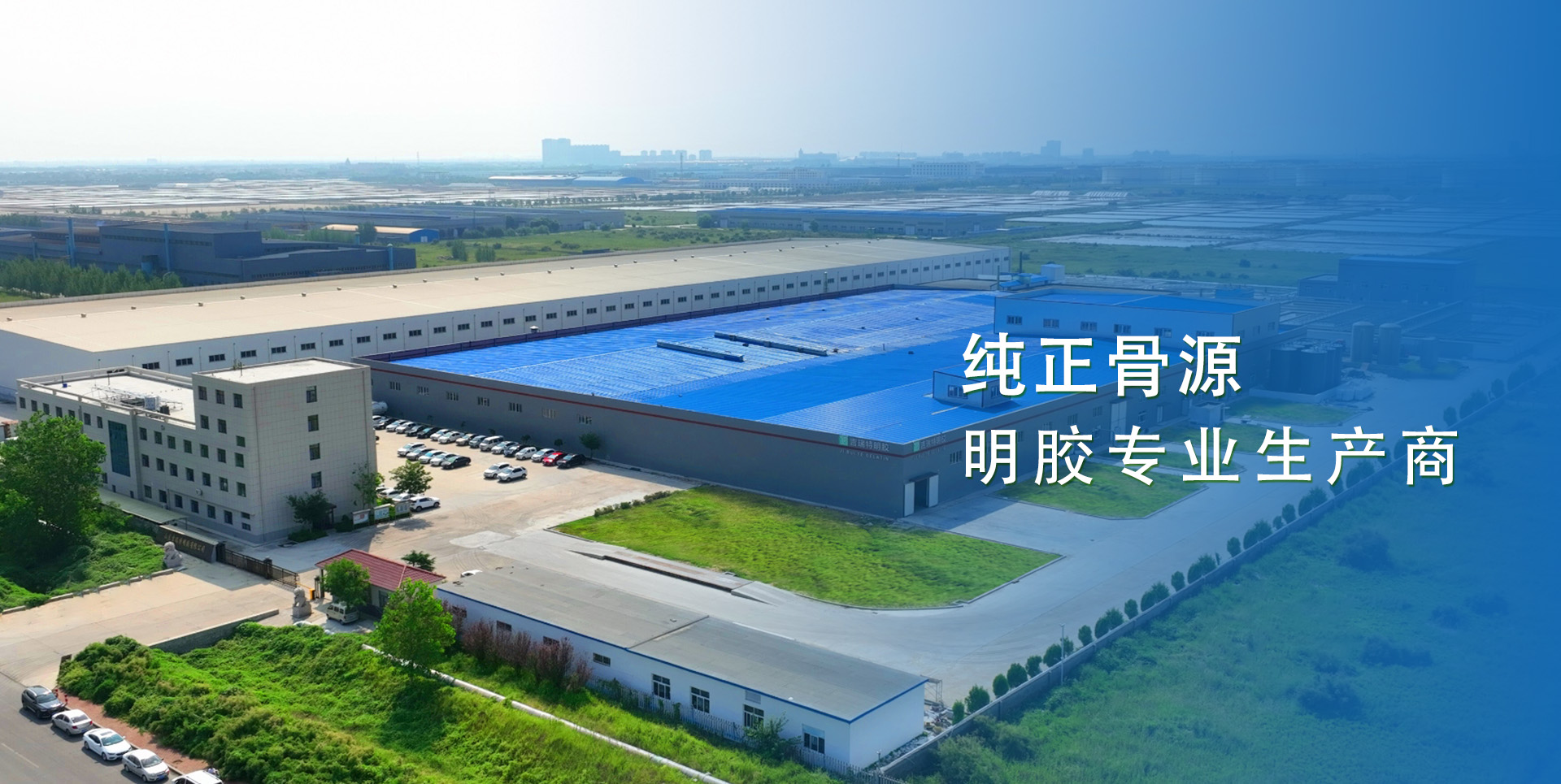 Shandong JiRuiTe (JRT) Gelatin Co., Ltd.