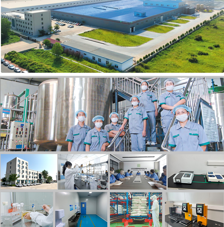 fic 山东吉瑞特明胶有限公司
