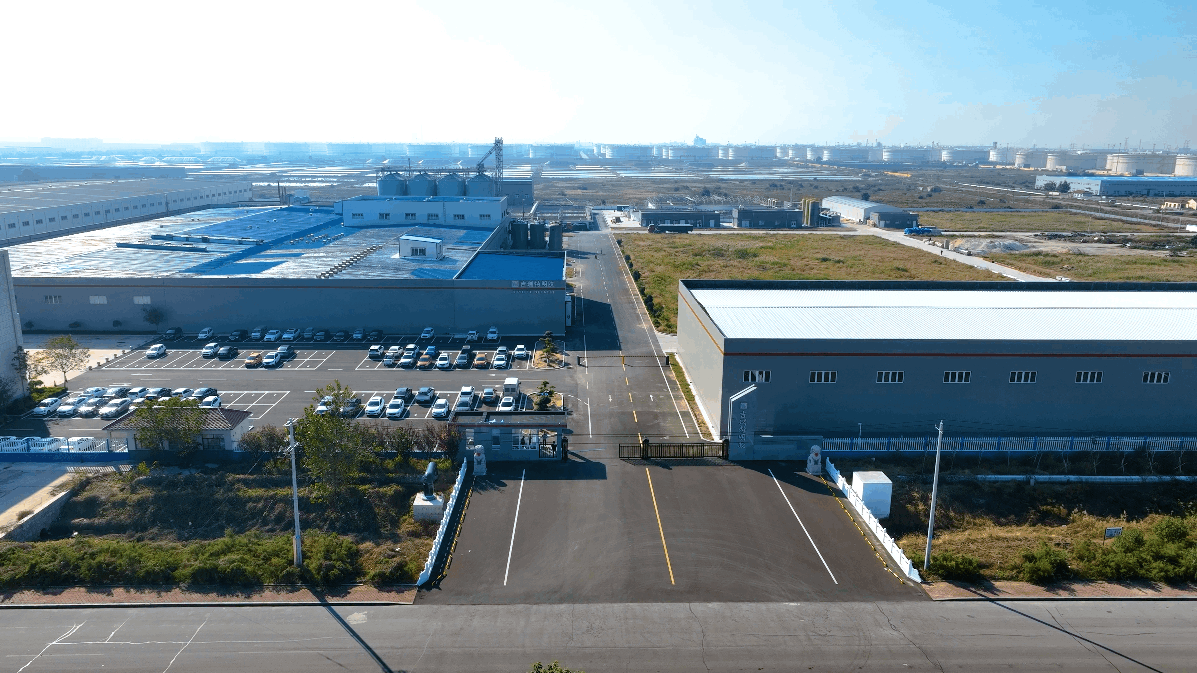 山东吉瑞特明胶鸟瞰图 (1)